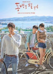 When the Camellia Blooms / When the Camellia Blooms