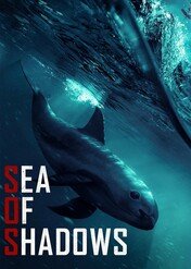 Zatoka cieni / Sea of Shadows