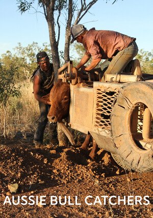 Australijscy łowcy bydła / Aussie Bull Catchers