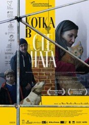 Kot w ścianie / Cat in the Wall