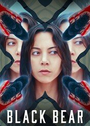 Czarny niedźwiedź / Black Bear