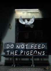 Do Not Feed The Pigeons / Do Not Feed The Pigeons
