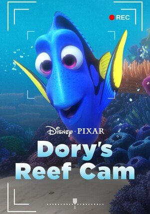 Dory filmuje rafę "/ Dory's Reef Cam