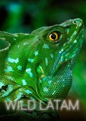 Dzika Ameryka Łacińska / Wild Latam