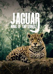 Jaguar: King Of The Jungle / Jaguar: King of the Jungle