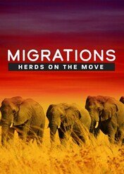 Migrations: Herds on the Move / Migrations: Herds on the Move
