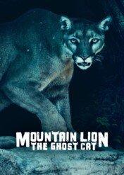 Mountain Lion: The Ghost Cat / Mountain Lion: The Ghost Cat
