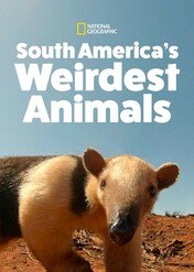Najdziwniejsze zwierzęta Ameryki Południowej / South America's Weirdest Animals