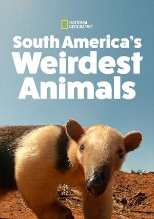 Najdziwniejsze zwierzęta Ameryki Południowej / South America's Weirdest Animals