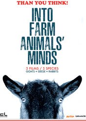 O czym myślą wiejskie zwierzęta / Into Farm Animals' Minds