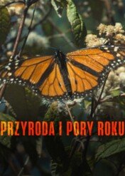Przyroda i pory roku / Seasons In the Wild