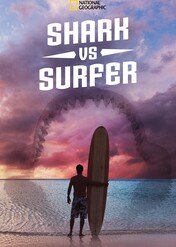 Rekin kontra surfer / Shark vs. Surfer