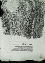 Równonoc / Równonoc