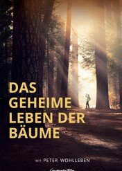 Sekretne życie drzew / The Hidden Life of Trees