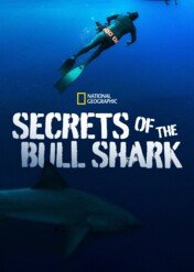 Sekretne życie żarłaczy / Secrets of the Bull Shark