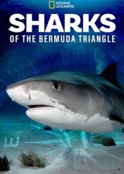 Sharks of the Bermuda Triangle (Special) (2020) / Sharks Of The Bermuda Triangle