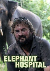 Szpital dla słoni / Elephant Hospital
