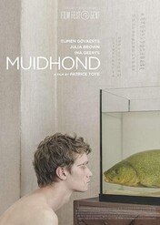 Muidhond / Tench