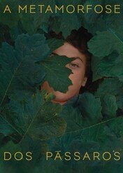 Metamorfoza ptaków / The Metamorphosis of Birds