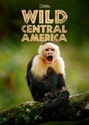 Wild Central America / Wild Central America