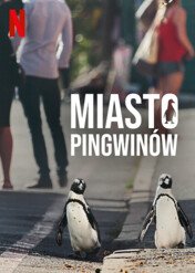 Miasto pingwinów / Penguin Town