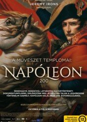 Napoleon. W imię sztuki / Napoleon: In the Name of Art
