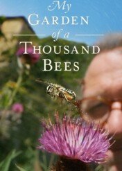 Ogród tysiąca pszczół / My Garden of a Thousand Bees