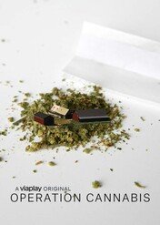 Operacja Cannabis / Operation Cannabis