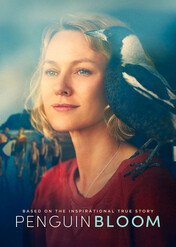 Niesamowita historia Sam Bloom / Penguin Bloom