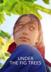 Pod figowcami / Under the Fig Trees