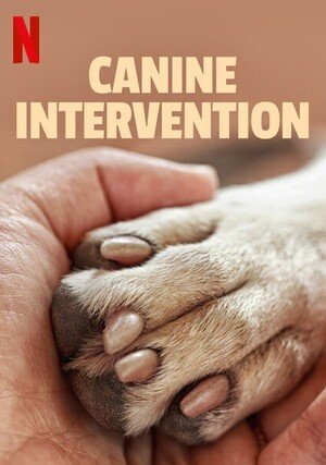Psi terapeuta w akcji / Canine Intervention