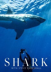 Rekiny Steve'a Backshalla / Shark with Steve Backshall