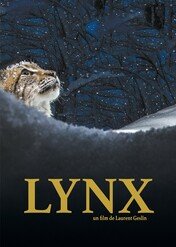 Ryś. Król puszczy / Lynx