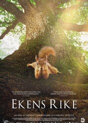 Serce dębu / Heart of Oak