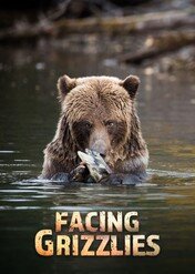 Spotkania z niedźwiedziem grizzly / Facing Grizzlies
