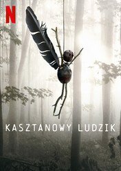 Kasztanowy ludzik / The Chestnut Man