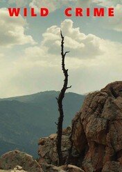 Na szlaku zbrodni / Wild Crime