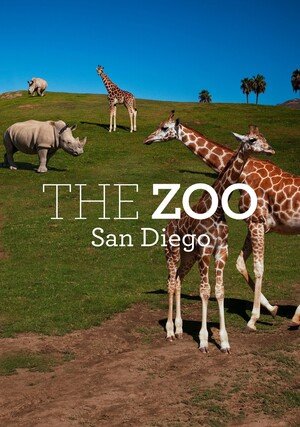 Serial Zoo w San Diego (2021) - Gdzie obejrzeć | Netflix | Disney+