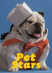 Zwierzaki-celebryci / Pet Stars