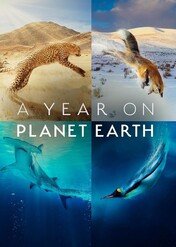 A Year On Planet Earth / A Year On Planet Earth