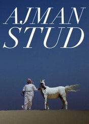 Ajman Stud / Ajman Stud