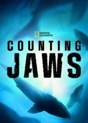 Rekiny w Kalifornii / Counting Jaws