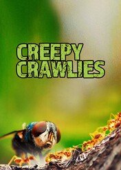 Creepy Crawlies / 