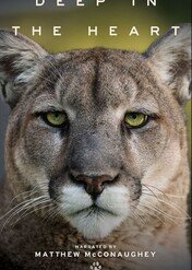 Deep in the Heart: A Texas Wildlife Story / Deep in the Heart: A Texas Wildlife Story