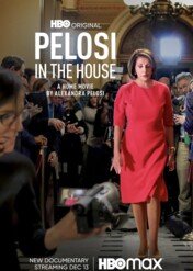 Dom Pelosi / Pelosi in the House
