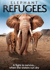 Elephant Refugees / Elephant Refugees