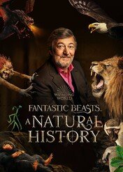 Fantastyczne zwierzęta: Historia naturalna / Fantastic Beasts: A Natural History
