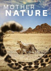 Matka Natura / Mother Nature