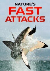 Najszybsze drapieżniki / Nature's Fast Attacks