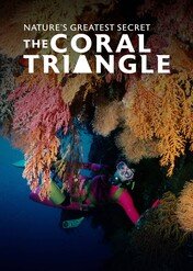 Nature's Greatest Secret - The Coral Triangle / Nature's Greatest Secret - The Coral Triangle
